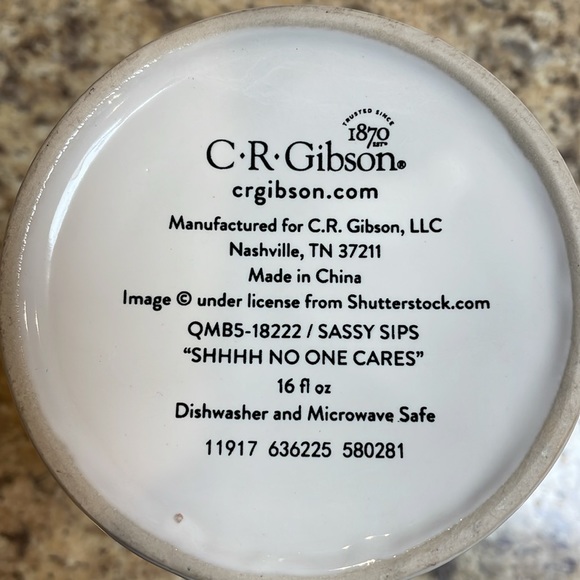 C R Gibson Coffee Mug. 16 oz. ~SHHH~ NO ONE CARES “YET YOU’RE STILL TALKING” - Picture 6 of 6